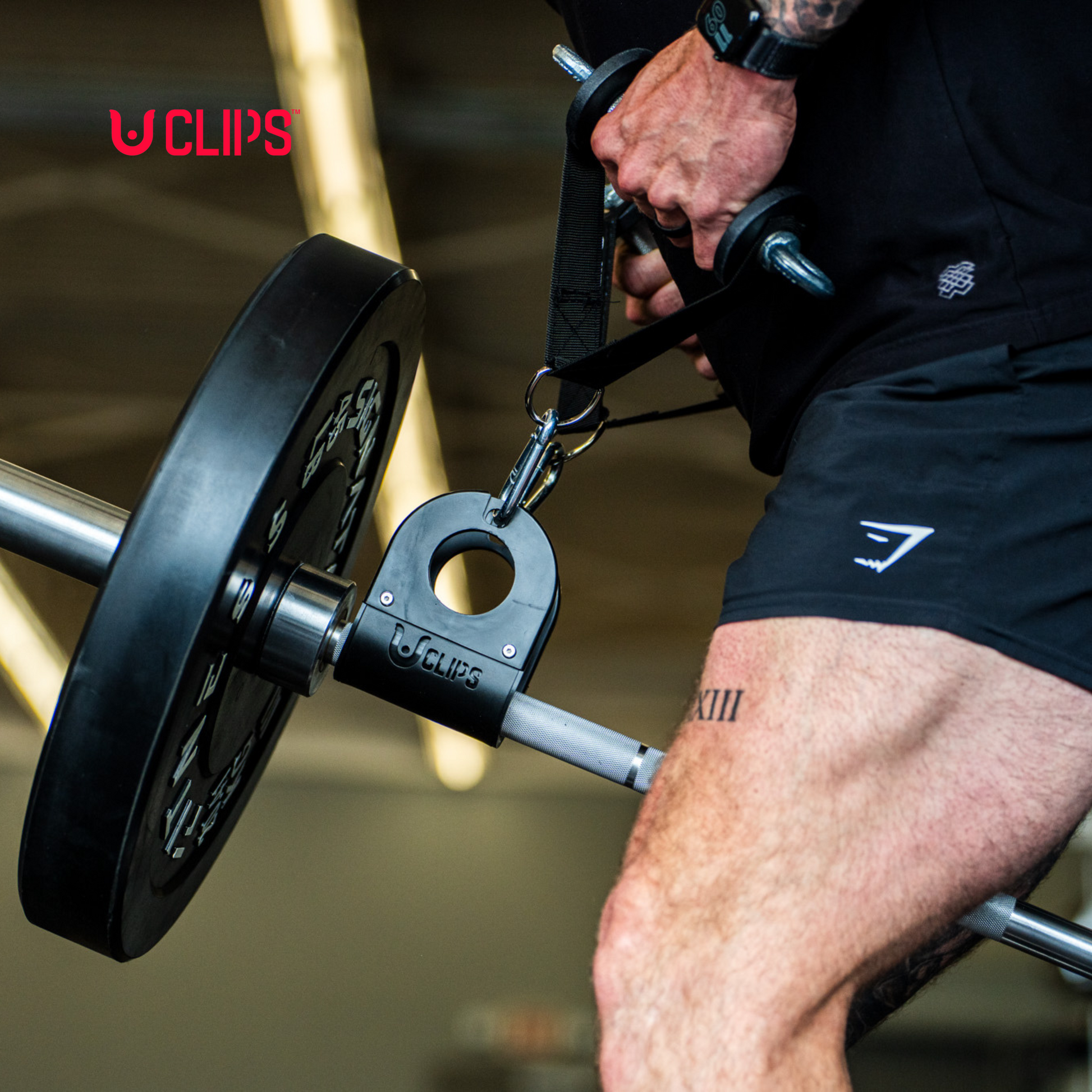 U Clips - Versatile home gym clips – Uclips