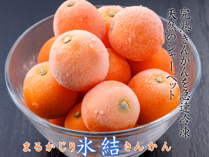 農園だより | 内山金柑園 宮崎県産完熟きんかん生産販売