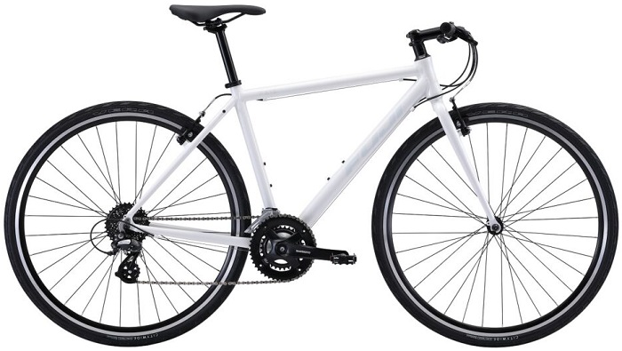 ウエムラサイクルパーツインターネット店 / FUJI(フジ) RAIZ(ライズ