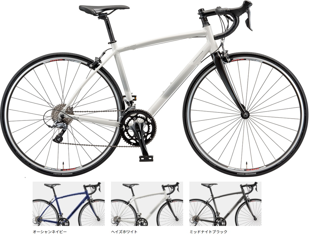 ブリヂストンロードバイクフレームトライゴンカーボンフォーク