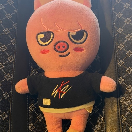 Stray Kids Skzoo Dwaekki Changbin Official MD | Mercari