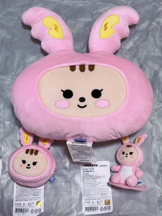 Seventeen Miniteen Jjongtoram Magnet Plush | Mercari