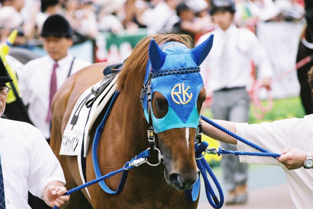 新春特売 現地単勝 新馬戦2002年 京都競馬 アドマイヤグルーヴ 新春