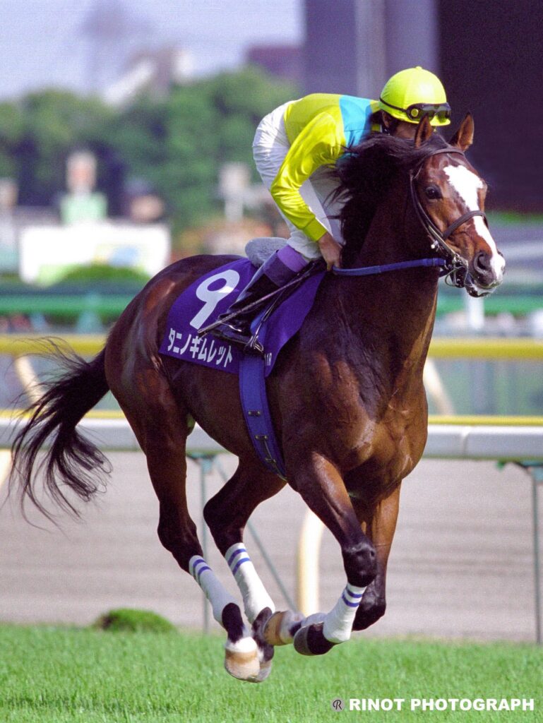 タニノギムレット】第69回日本ダービー／現地的中馬券(旧馬券