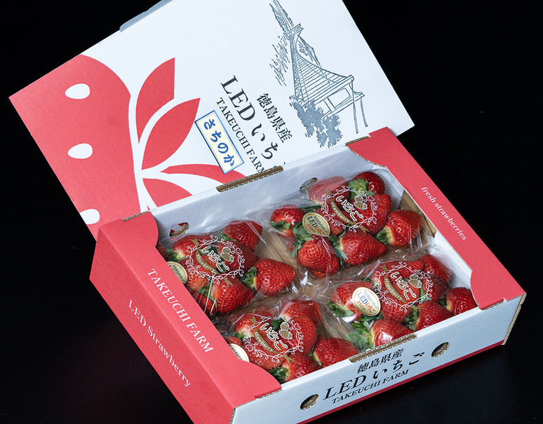 竹内農園 LEDいちご「とくしまいちご（品種 さちのか）」徳島県産 約