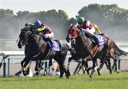 天皇賞・春】フェノーメノ、史上3頭目の連覇！｜競馬ニュース｜競馬