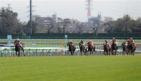 日経賞】大逃げ！ネコパンチが重賞初V｜競馬ニュース｜競馬予想の