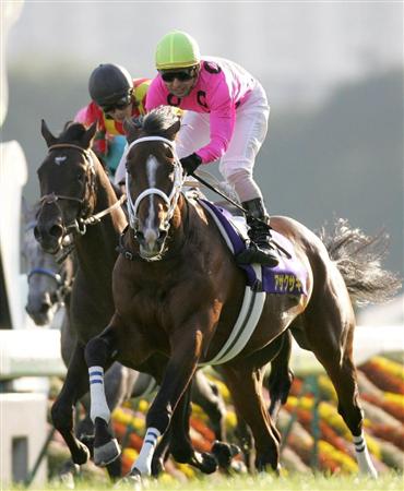 新種牡馬連載（9）】アサクサキングス｜競馬ニュース｜競馬予想の