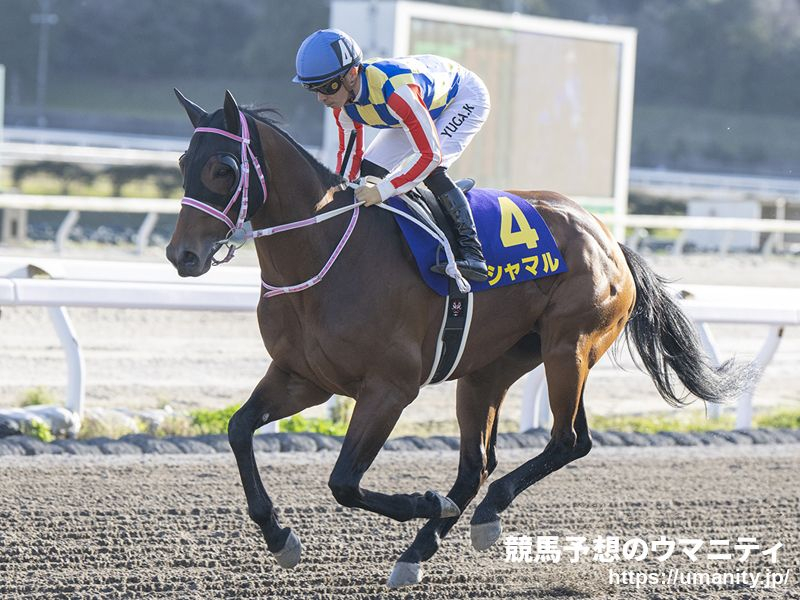 高知・黒船賞2025】選定馬（3/10）｜競馬ニュース｜競馬予想のウマニティ