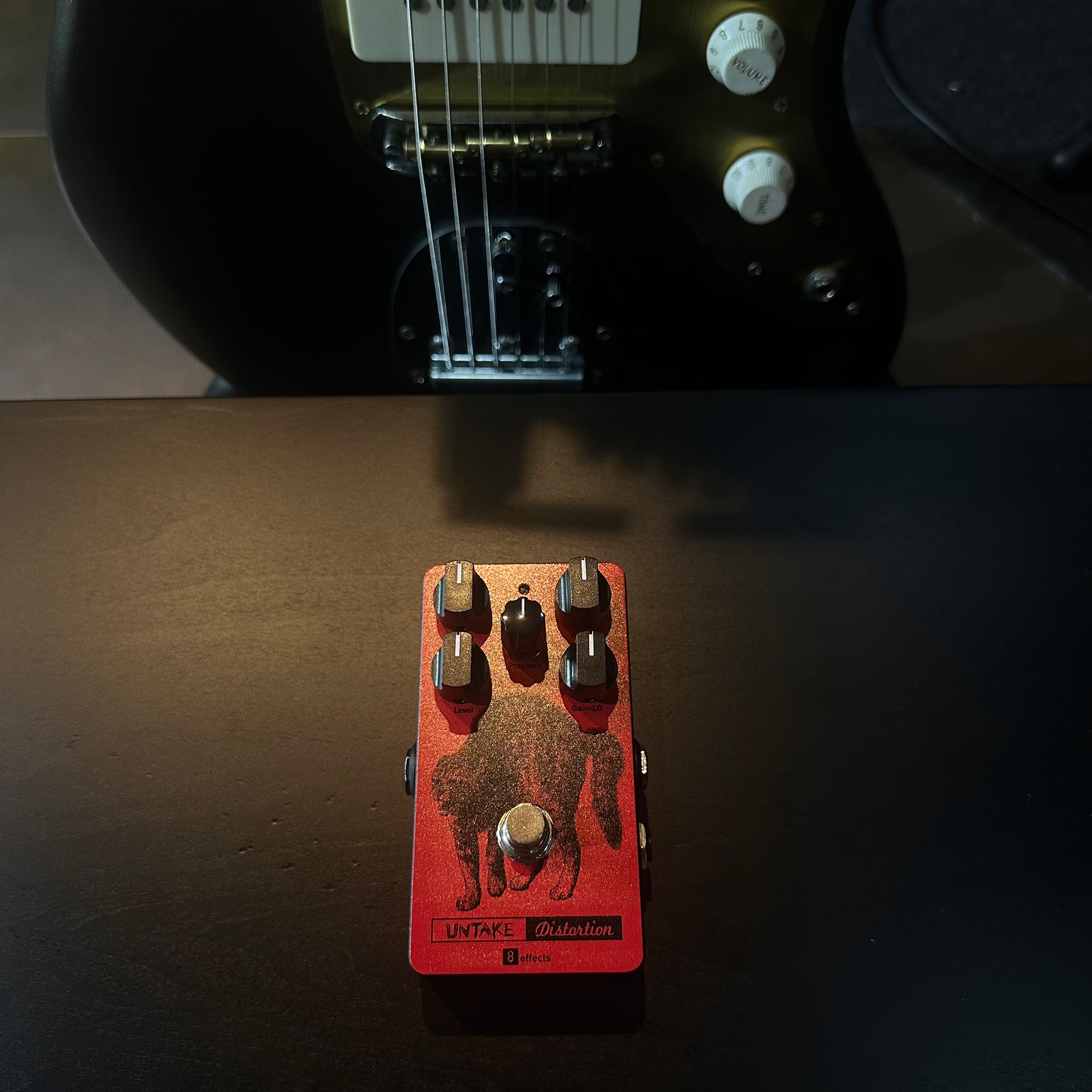 UNTAKE GUITARS 
