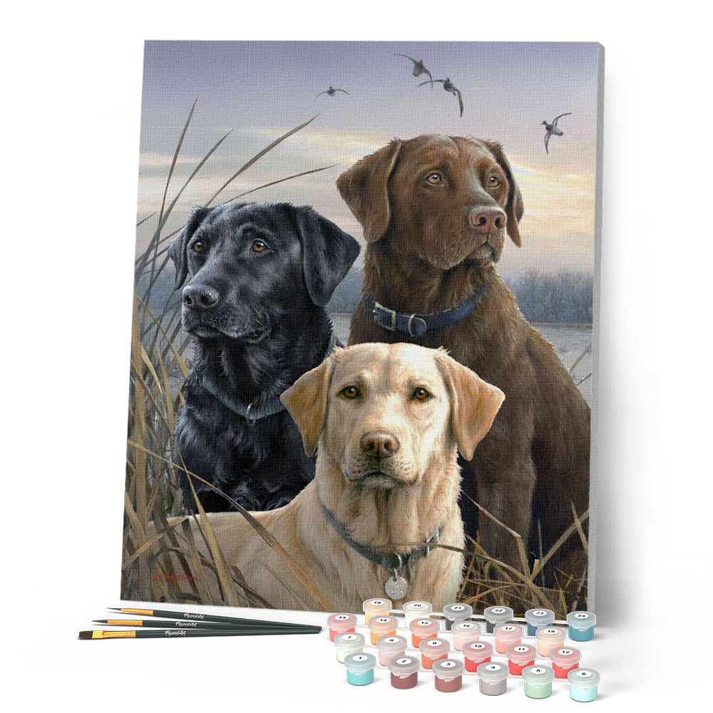 Paint by numbers - Labrador Trio – Figured'Art