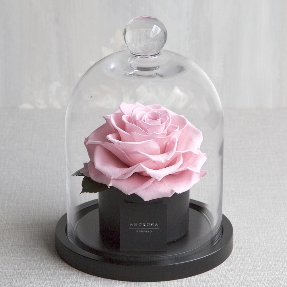 ハートフェルト （フェミニンピンク） | Upell オンラインショップ