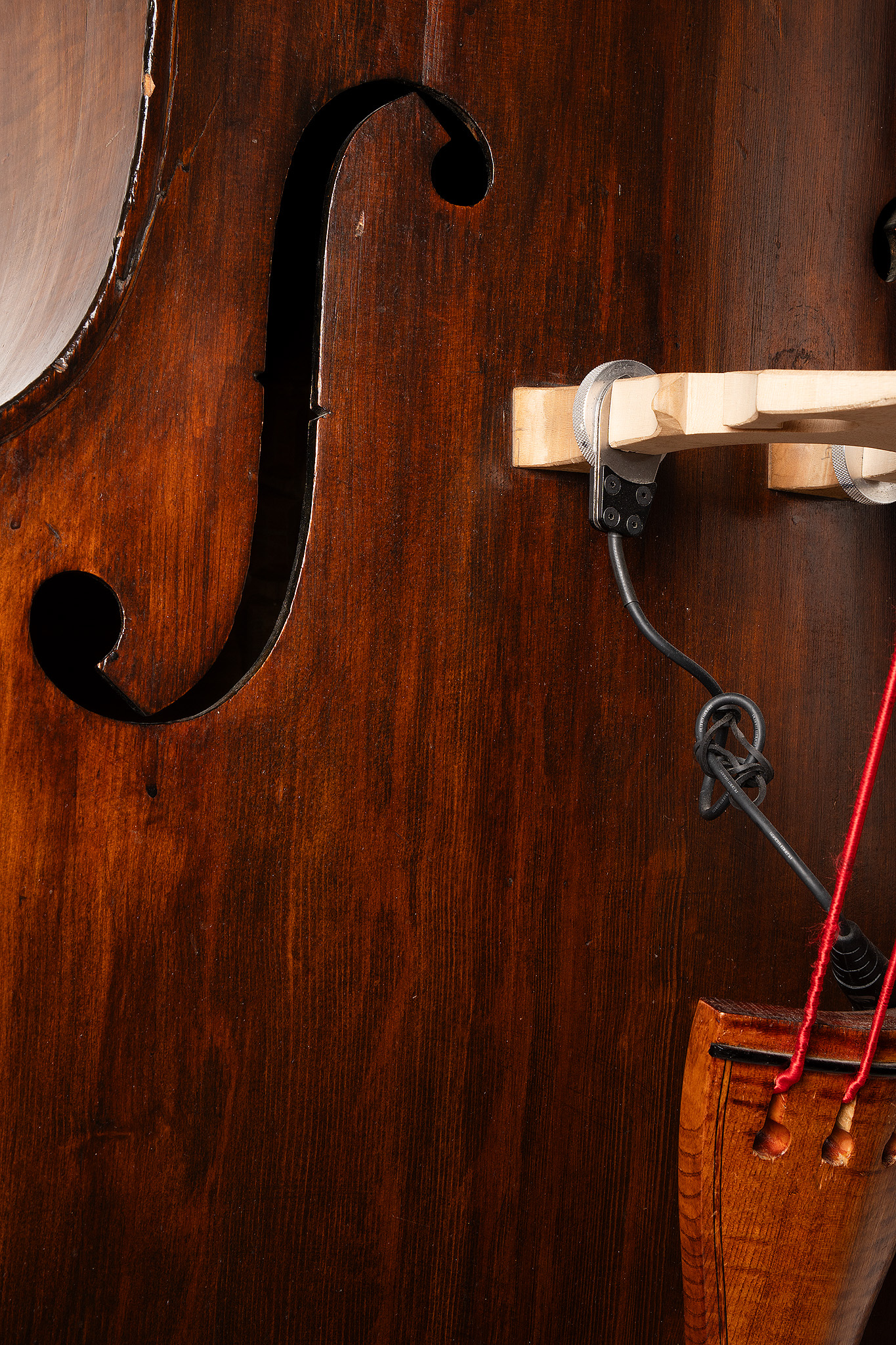 David Gage The Realist-Lifeline - Upton Bass String Instrument Co.