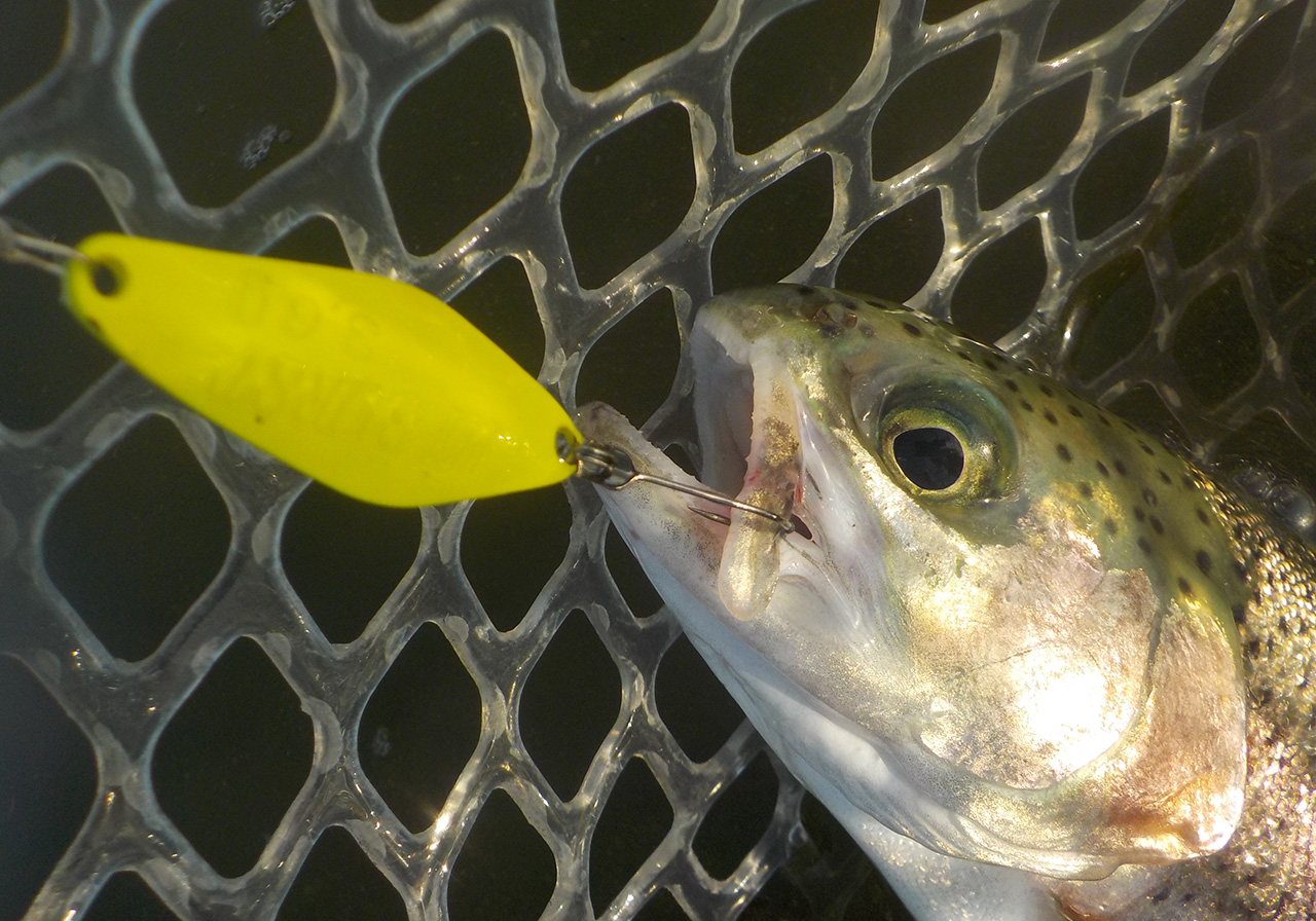 HI BURST（ハイバースト） | SPOONS | ValkeIN ヴァルケイン