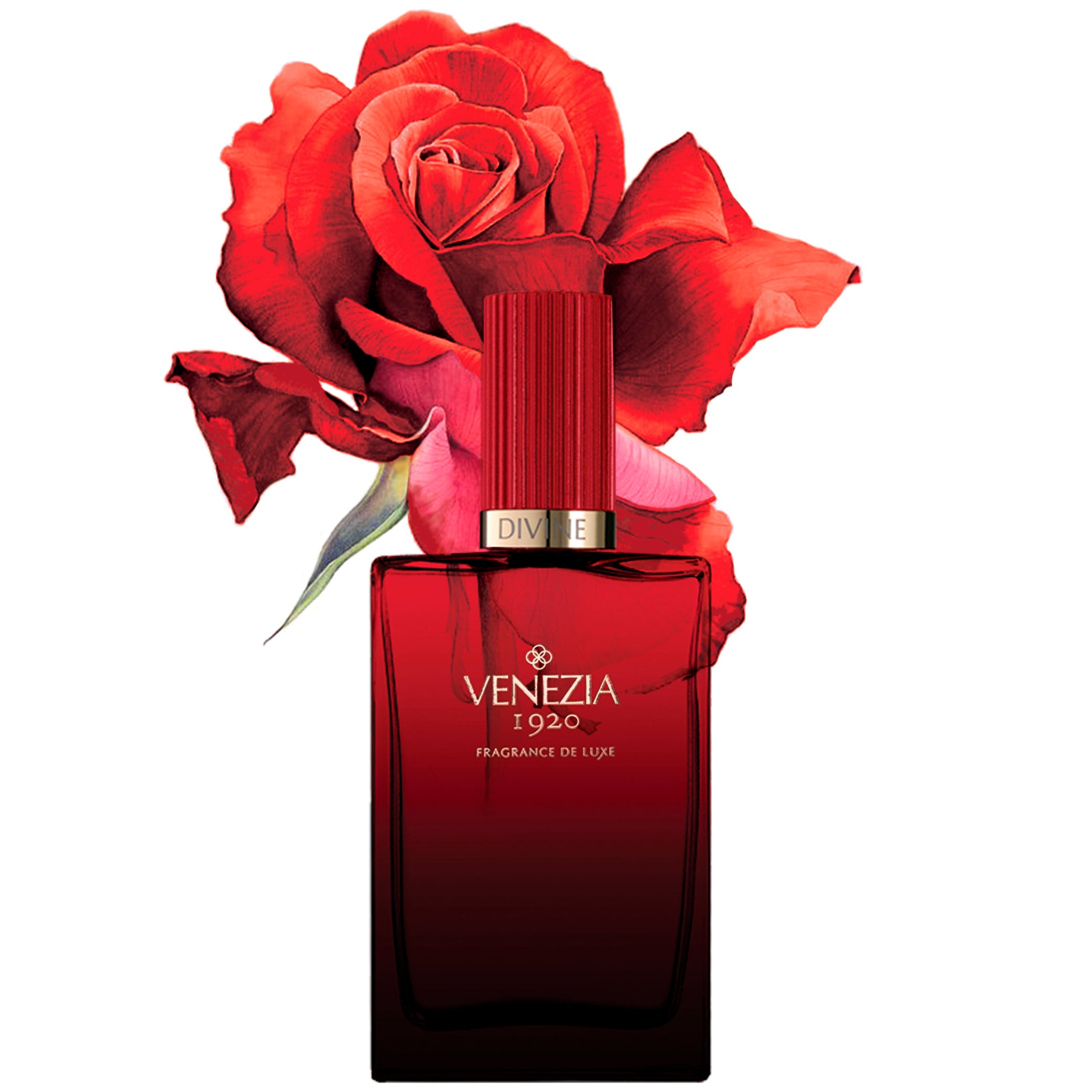 Venezia1920 ヴェネチア1920 DIVINE ディヴァイン DIVINE – Venezia1920