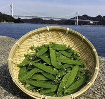 産地紹介：広島県 JA尾道市 ～品質第一、栽培から選別までこだわった