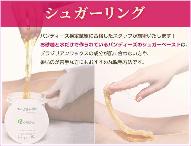 シュガーリング脱毛用 約540ml×4個 シュガーペースト 良い シュガー