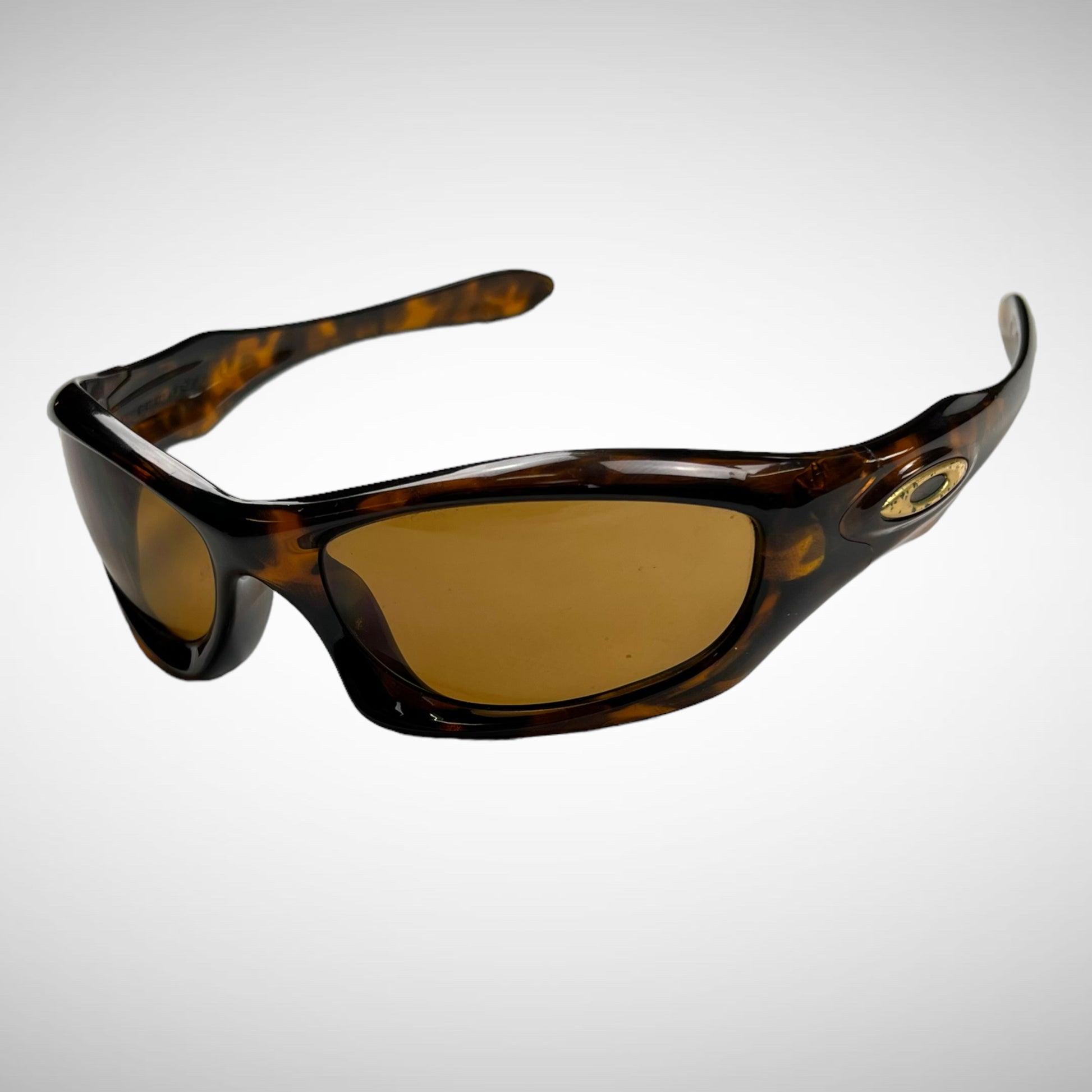 Oakley Monster Dog (2003) – VILIS VINTAGE