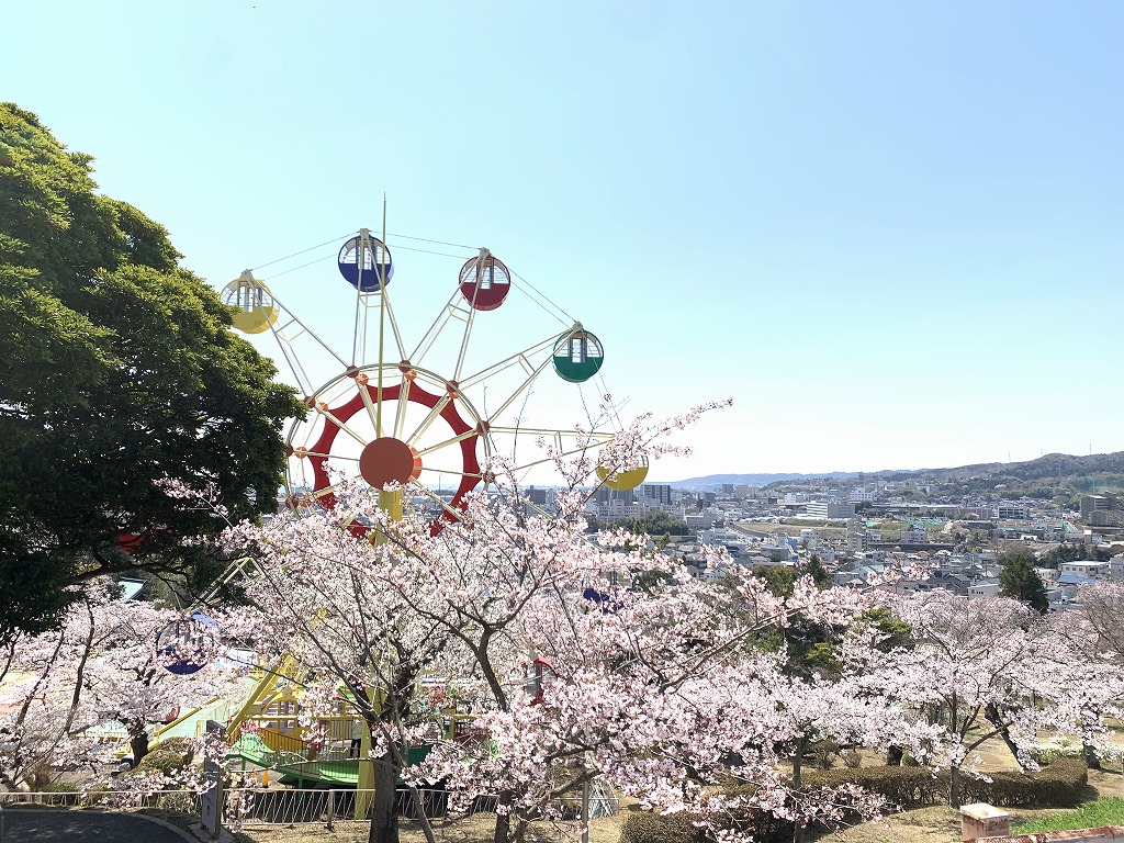Hitachi Cherry Blossom Festival 2025 and Hitachi Furyumono