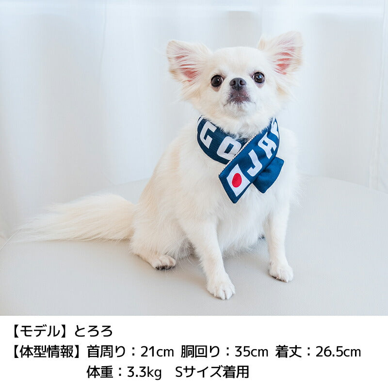 日本応援グッズ クールネック・帽子 Solgra -ソルグラ- 犬用 SO24SS