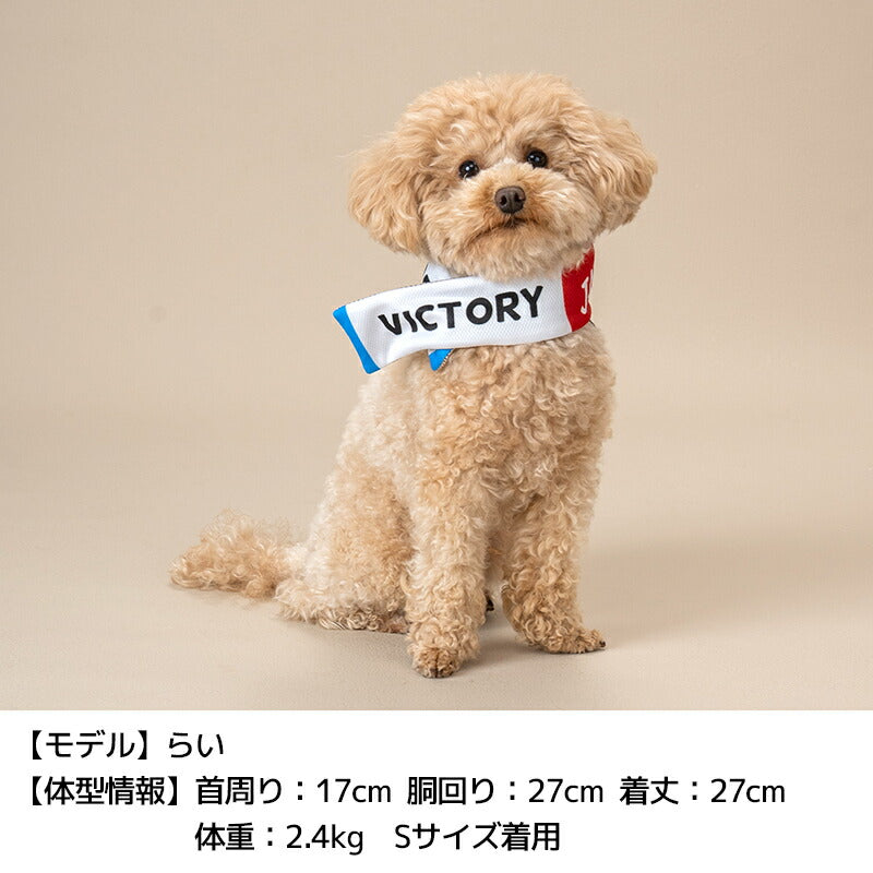 日本応援グッズ クールネック・帽子 Solgra -ソルグラ- 犬用 SO24SS