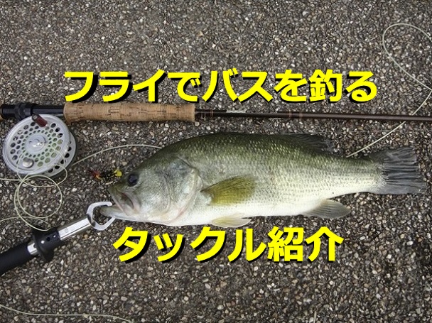 フライフィッシングでバスを釣るためのタックル・装備紹介[フラデバ特集]