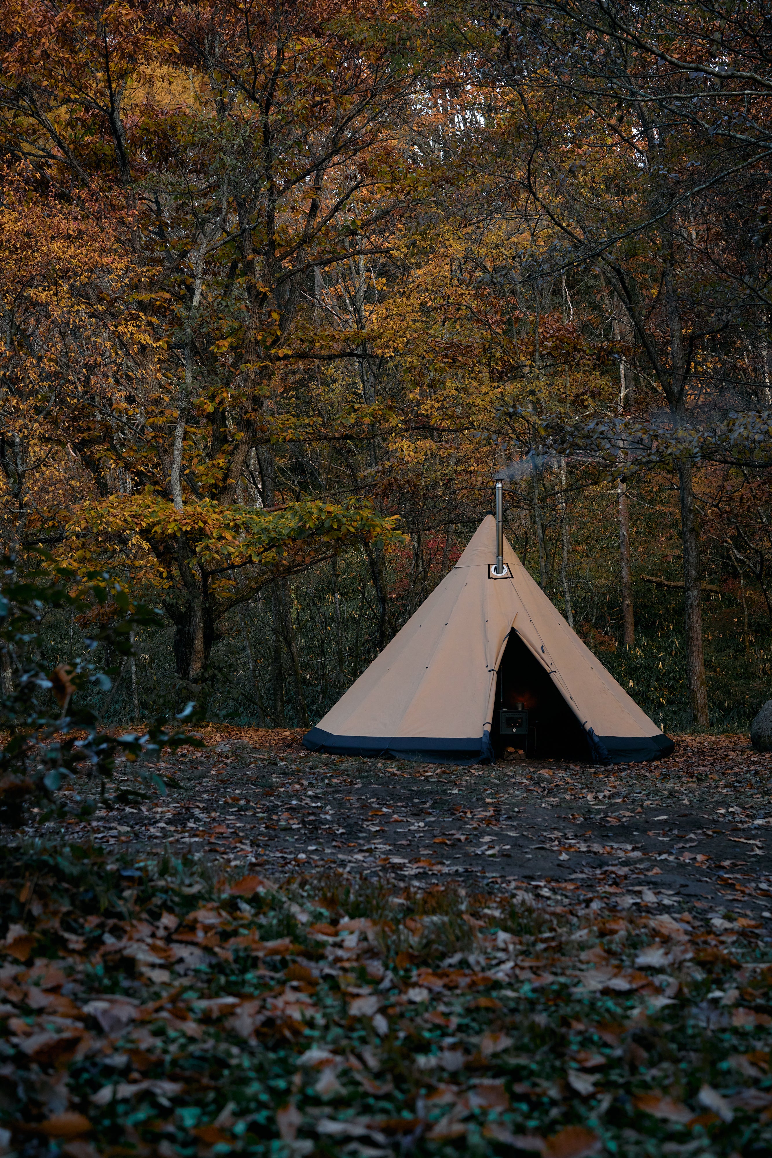 Arctic Lavvo / Wanderout Edition Venor Enstangslavvo 8-10 – wanderout