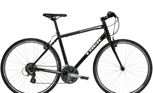 2019 トレック FX3 ディスク - 轍屋自転車店