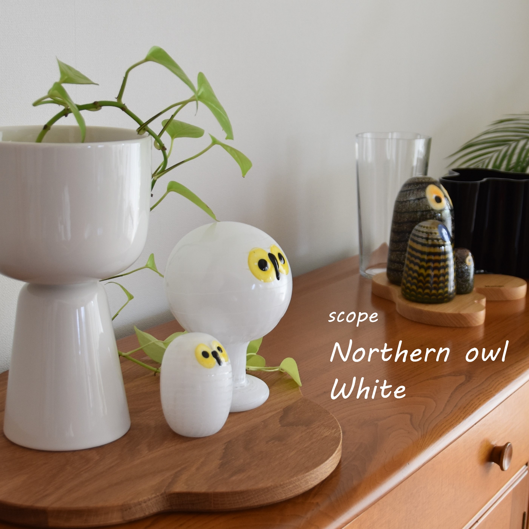 scope 】別注バード 小さな白フクロウ買いました【 Northern owl White