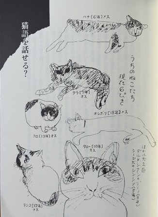 猫の独白(モノローグ) | 猫本専門書店 書肆 吾輩堂