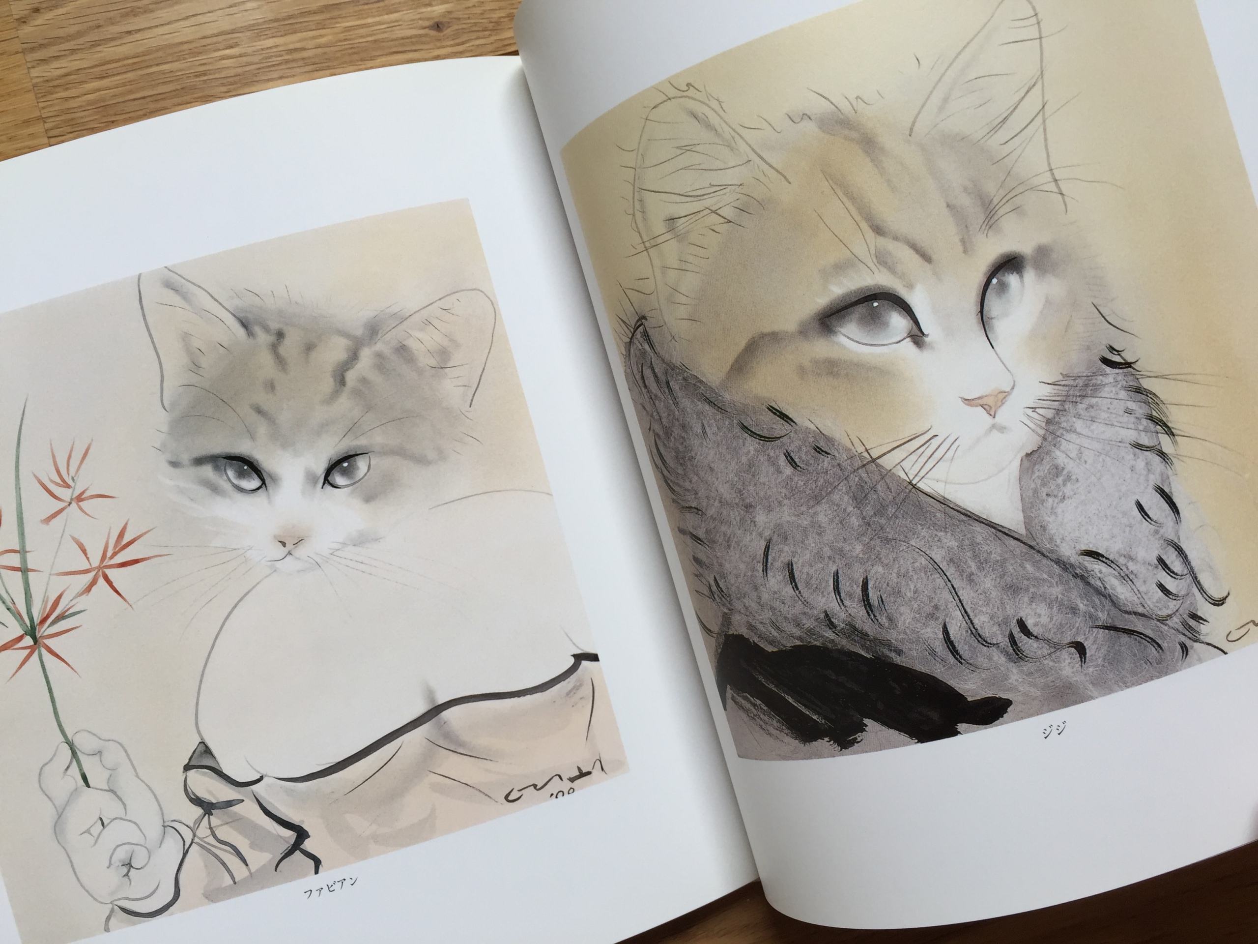 小沢良吉画集 猫の気もち | 猫本専門書店 書肆 吾輩堂