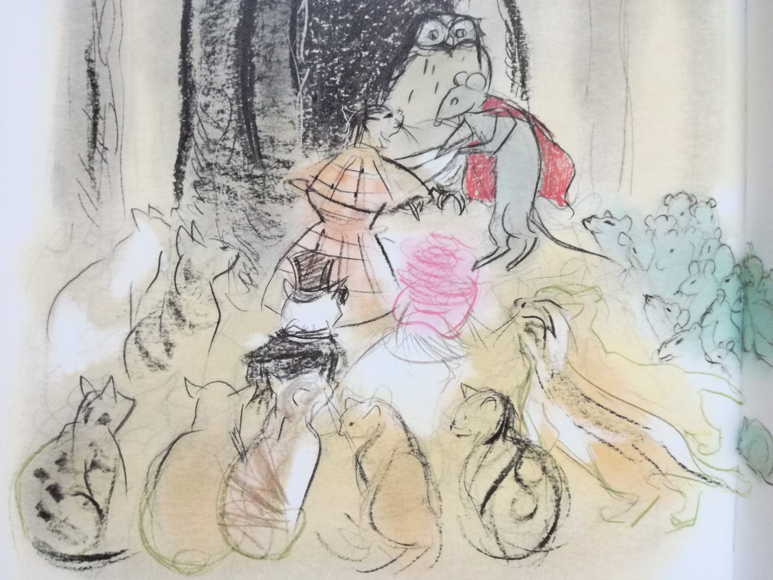 小沢良吉ねこシリーズ ねこのべんごし | 猫本専門書店 書肆 吾輩堂