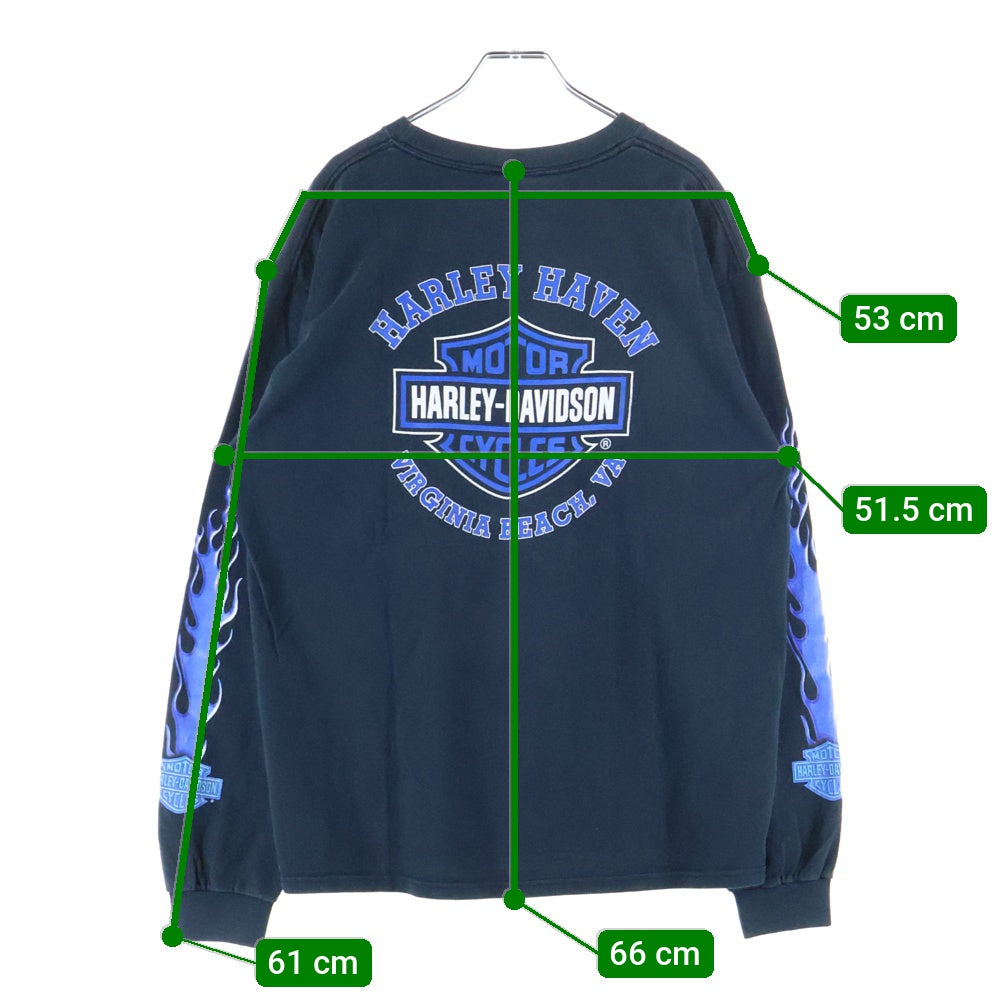 HARLEY DAVIDSON(ハーレーダビッドソン) 00s VINTAGE BLUE FLAME L/S