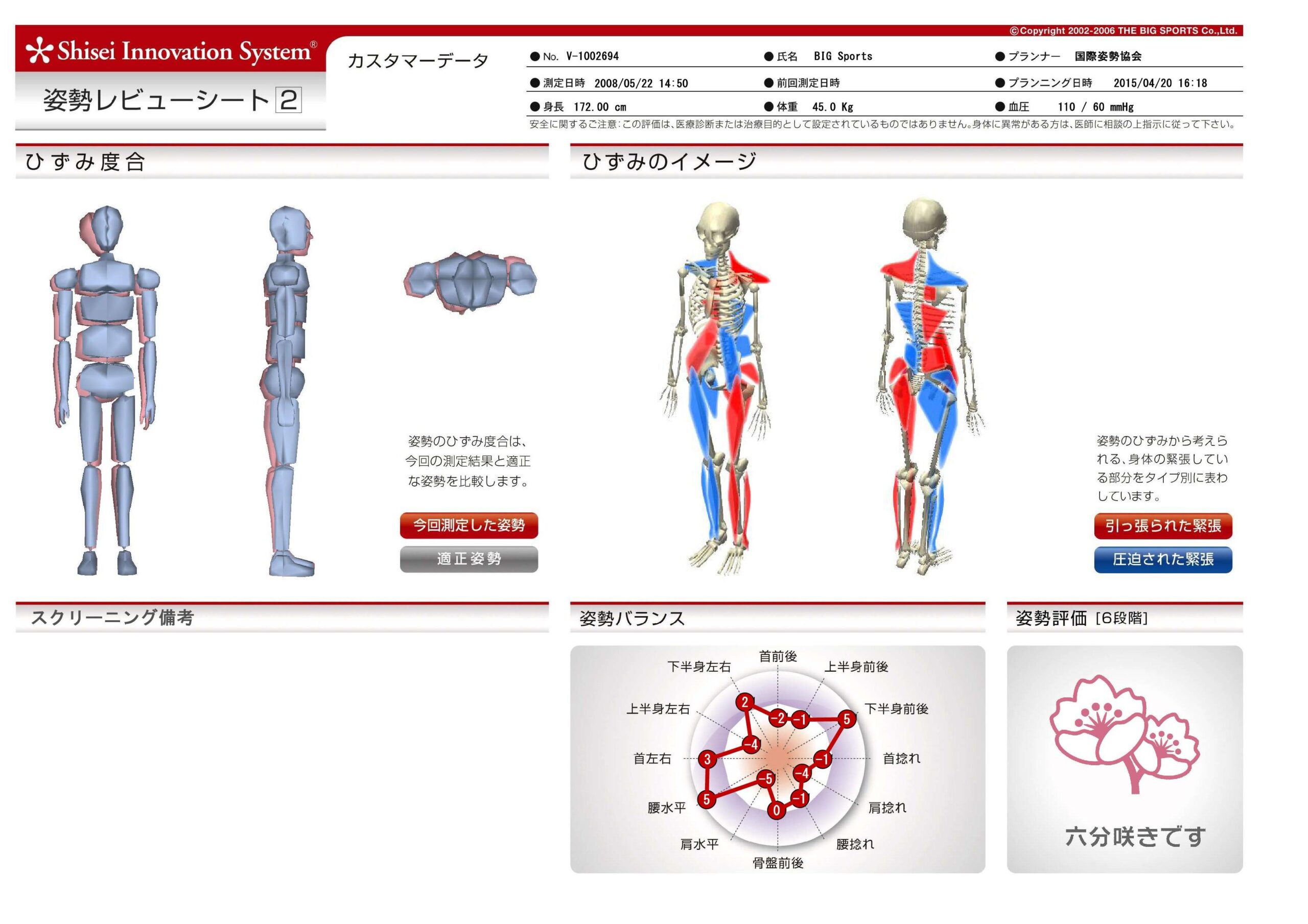 姿勢評価システムを導入しました。 – わしざわ整形外科 新着ニュース