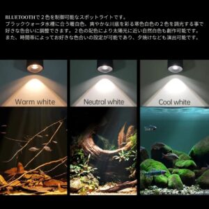 MINI 7 SPOT LIGHT – WEEK AQUA
