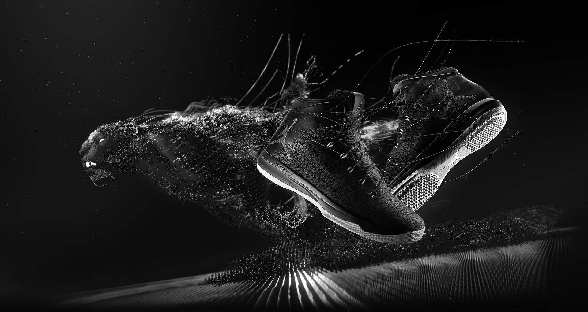 The Air Jordan XXXI 'Black Cat' is Available Now - WearTesters