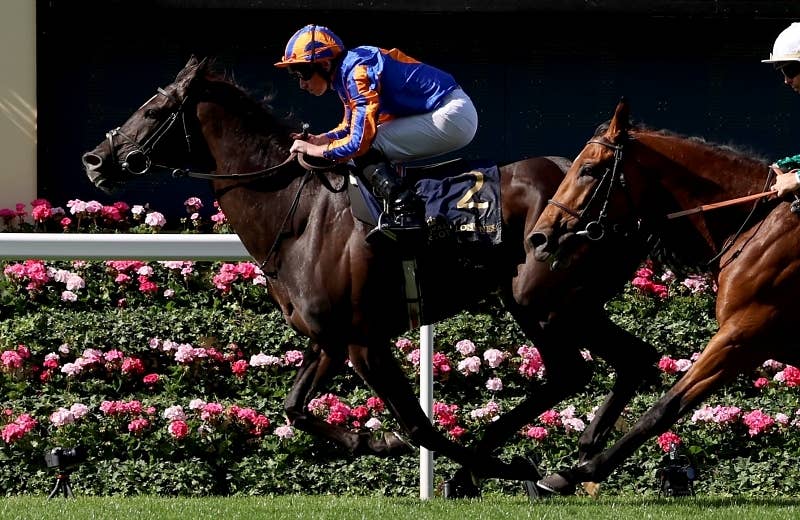 オーギュストロダン（Auguste Rodin） | 競馬データベース | JRA-VAN