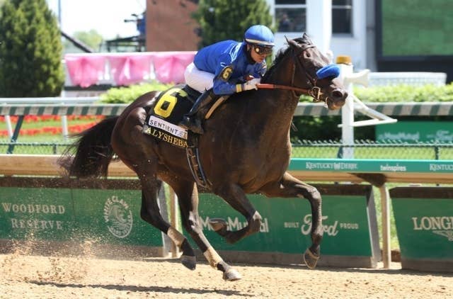 マックスフィールドが種牡馬入りに手土産、引退レースのG1クラークS