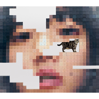 あいみょん「猫にジェラシー（初回限定盤Blu−ray）」 | Warner Music