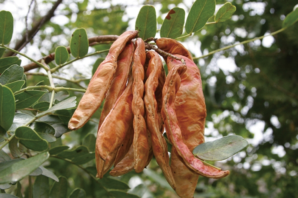 WMT GLOW UP SERUM | エステ、クラウドエステはWMT