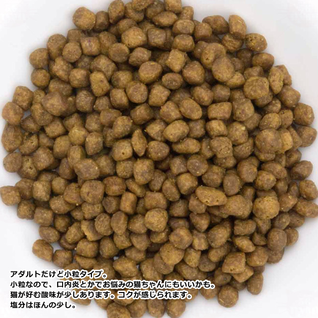 NOW FRESH ナウフレッシュ グレインフリー アダルトキャット 350g