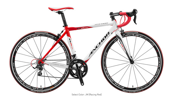 ANCOR RA6 EQUIPE(アンカー アールエーシックス エキップ完成車) 2014