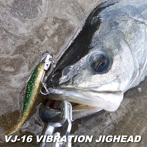 VJ-16 VIBRATIONJIGHEAD | COREMAN - コアマン公式サイト | デイゲーム