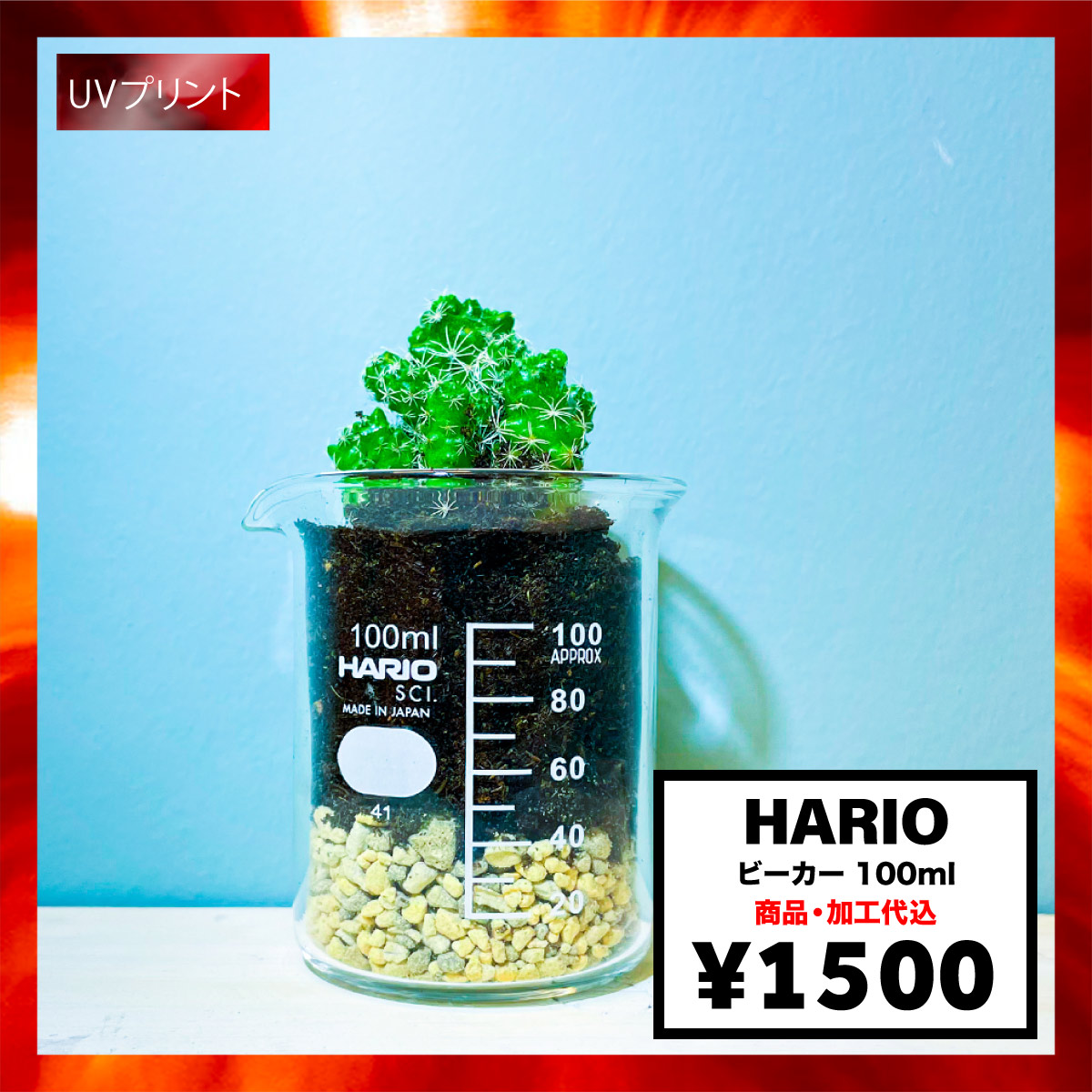 CORNER PRINTING | HARIO ハリオ ビーカー 100ml (品番B-100_SCI)