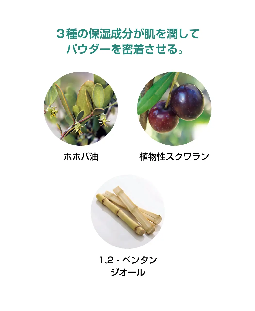 通販生活®薬用制汗パウダー『さらすず』｜【公式】カタログハウスの