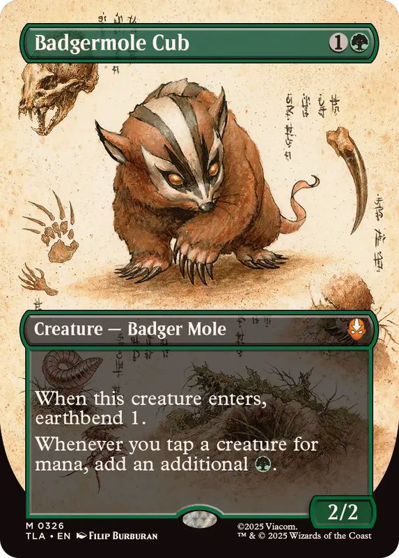 FOIL)(フルアート)アナグマモグラの仔/Badgermole Cub《英語》【TLA】