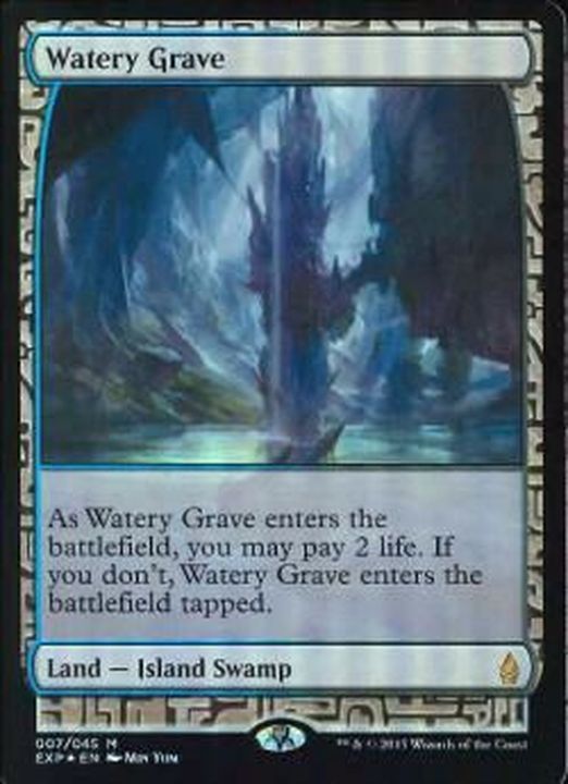 mtg 湿った墓 foil 英語 エクスペディション mtg 湿った墓 foil 英語