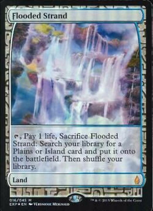 EX](FOIL)溢れかえる岸辺/Flooded Strand《英語》【EXP】