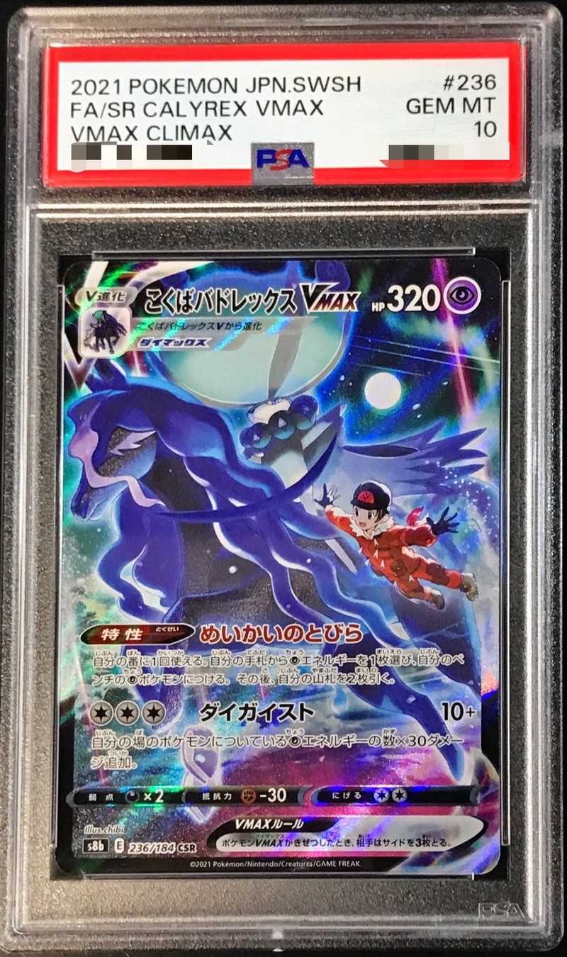 PSA10鑑定済〕こくばバドレックスVMAX【CSR】{236/184}