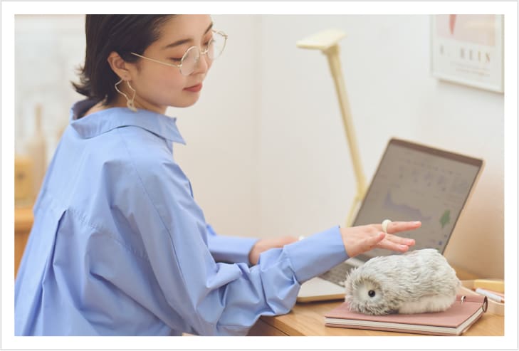 Moflin (モフリン) - 公式ストア | CASIO